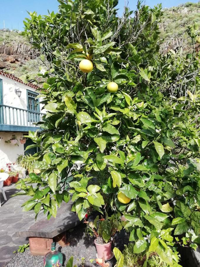 Grosse Finca 19Jh, Pool, Terrasse, Nahe Santa Cruz Santa Cruz de la Palma  Extérieur photo